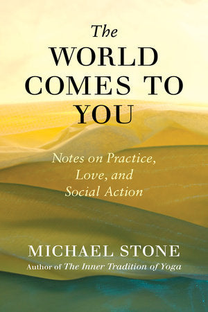 The World Comes to You Paperback by Michael Stone