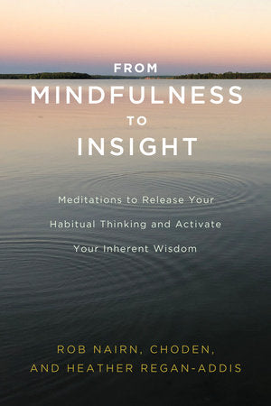 From Mindfulness to Insight Paperback by Rob Nairn, Choden, and Heather Regan-Addis