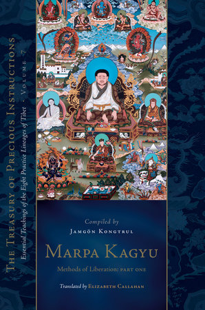 Marpa Kagyu, Part 1: Methods of Liberation: Essential Teachings of the Eight Practice Lineages of Tib et, Volume 7 (The Treasury of Precious Instructions) Hardcover by Jamgon Kongtrul Lodro Taye