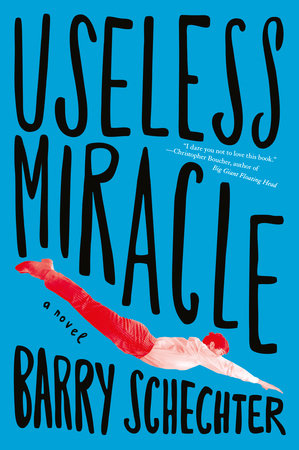 Useless Miracle Paperback by Barry Schechter