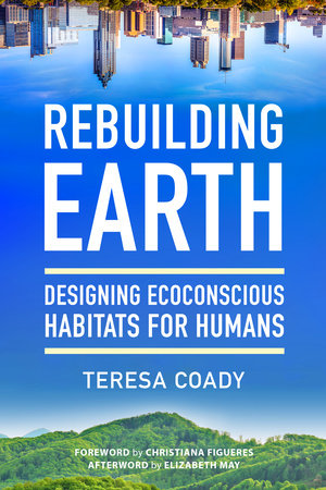 Rebuilding Earth Paperback by Teresa Coady