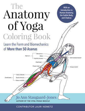The Anatomy of Yoga Coloring Book Paperback by Jo Ann Staugaard-Jones