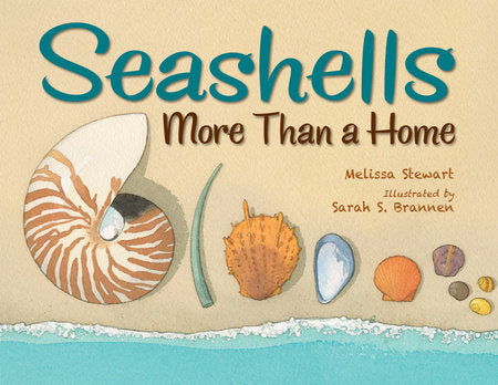 Seashells Paperback by Melissa Stewart (Author); Sarah S. Brannen (Illustrator)