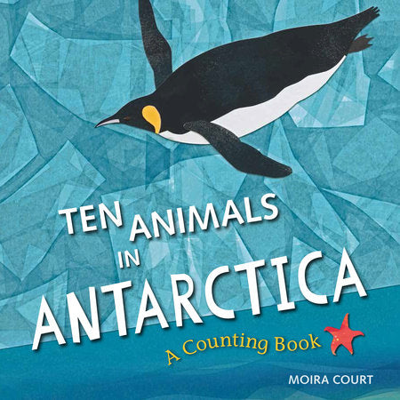 Ten Animals in Antarctica Hardcover by Moira Court (Author/Illustrator)
