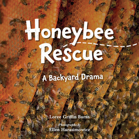 Honeybee Rescue Hardcover by Loree Griffin Burns (Author); Ellen Harasimowicz (Photographer)