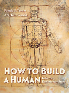 How to Build a Human Hardcover by Pamela S. Turner (Author); John Gurche (Illustrator)