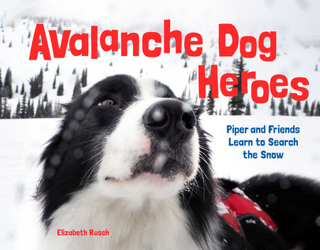 Avalanche Dog Heroes Hardcover by Elizabeth Rusch