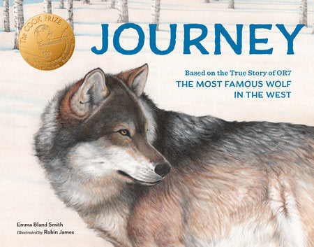 Journey Paperback by Emma Bland Smith; Illustrated by Robin James
