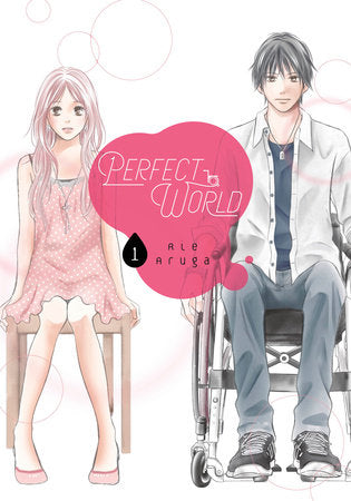 Perfect World 1 Paperback by Rie Aruga
