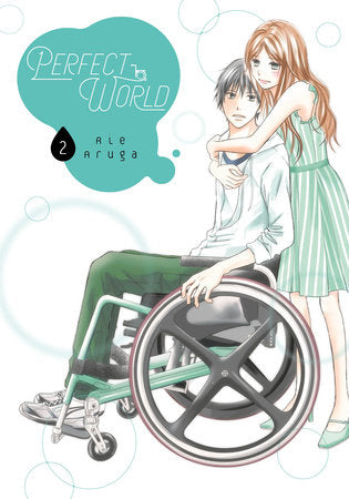 Perfect World 2 Paperback by Rie Aruga