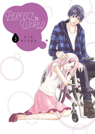 Perfect World 3 Paperback by Rie Aruga