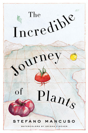 The Incredible Journey of Plants Paperback by Stefano Mancuso