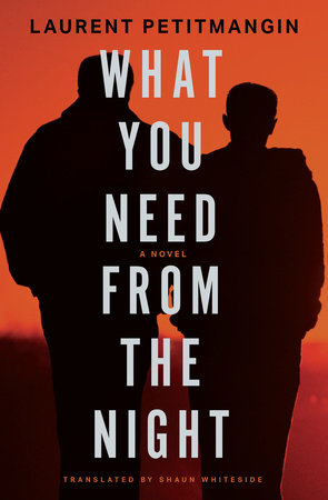 What You Need from the Night Paperback by Laurent Petitmangin