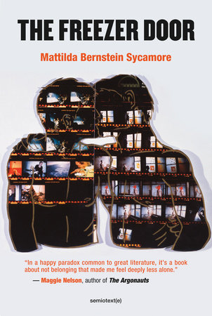 The Freezer Door Paperback by Mattilda Bernstein Sycamore