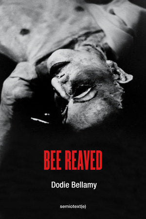 Bee Reaved Paperback by Dodie Bellamy