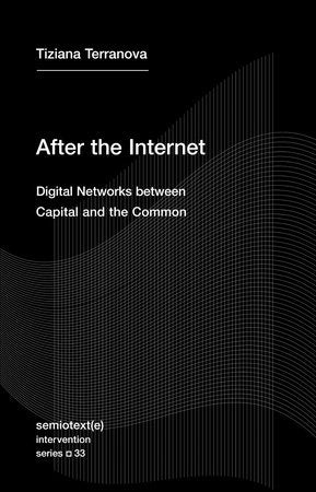 After the Internet Paperback by Tiziana Terranova
