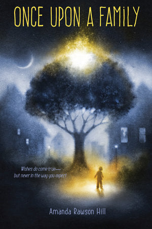 Once Upon a Family Hardcover by Amanda Rawson Hill