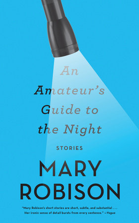 An Amateur's Guide to the Night Paperback by Mary Robison