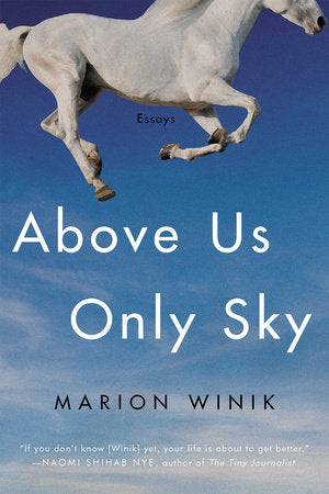 Above Us Only Sky Paperback by Marion Winik