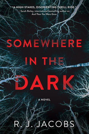 Somewhere in the Dark Hardcover by R. J. Jacobs
