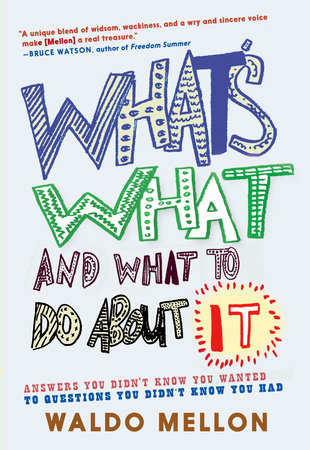 What's What and What to Do About It Hardcover by Waldo Mellon