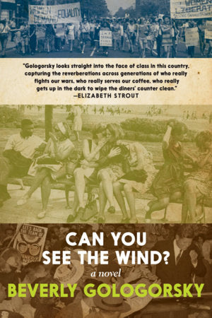 Can You See the Wind? Paperback by Beverly Gologorsky