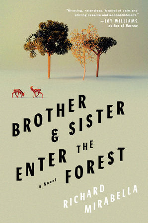 Brother & Sister Enter the Forest: A Novel Hardcover by Richard Mirabella
