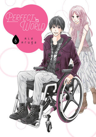 Perfect World 6 Paperback by Rie Aruga