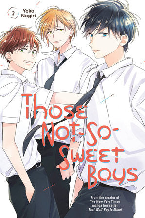 Those Not-So-Sweet Boys 2 Paperback by Yoko Nogiri