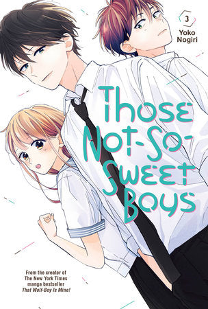Those Not-So-Sweet Boys 3 Paperback by Yoko Nogiri