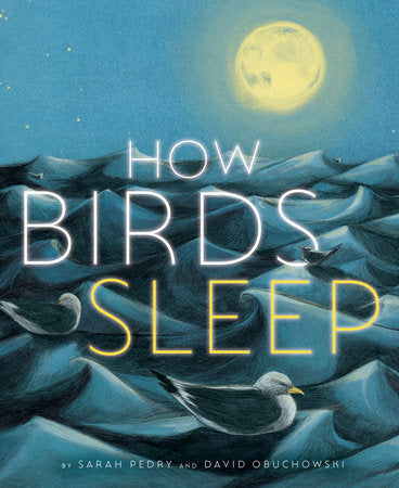 How Birds Sleep Hardcover by David Obuchowski