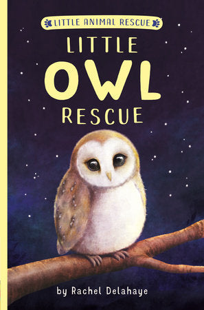 Little Owl Rescue Paperback by Rachel Delahaye; illustrated by Suzie Mason and Artful Doodlers