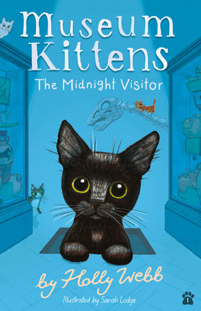 The Midnight Visitor Paperback by Holly Webb; illustrated by Sarah Lodge