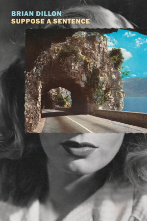 Suppose a Sentence Paperback by Brian Dillon