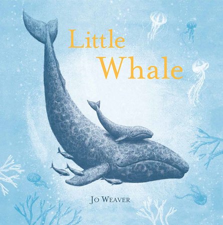 Little Whale Hardcover by written & illustrated by Jo Weaver