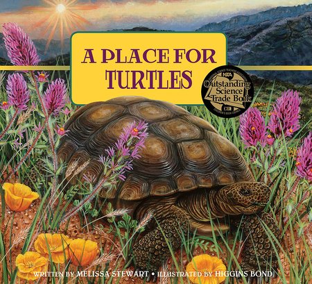 A Place for Turtles Paperback by by Melissa Stewart; illustrated by Higgins Bond