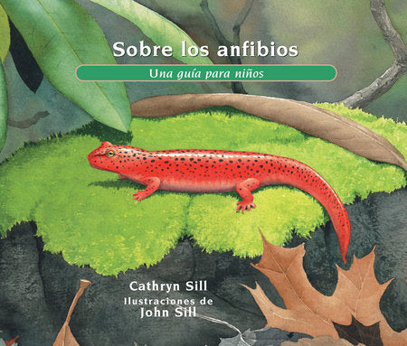 Sobre los anfibios Paperback by by Cathryn Sill; illustrated by John Sill
