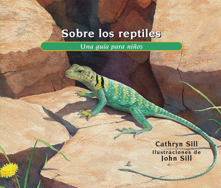 Sobre los reptiles Paperback by by Cathryn Sill; illustrated by John Sill