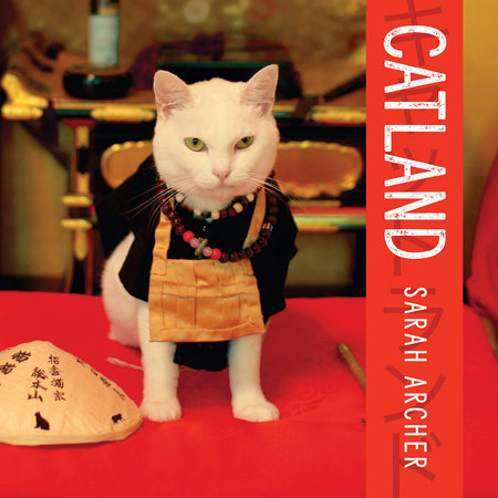 Catland Hardcover by Archer, Sarah