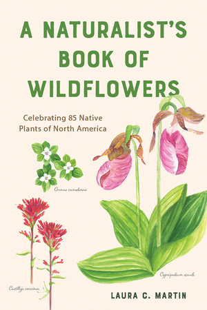 A Naturalist's Book of Wildflowers Paperback by Laura Martin