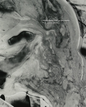 Always Starts with an Encounter Paperback by edited by Helena Papadopoulos