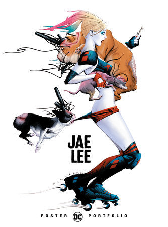 DC Poster Portfolio: Jae Lee Paperback by Jae Lee