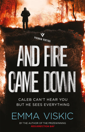 And Fire Came Down Paperback by Emma Viskic