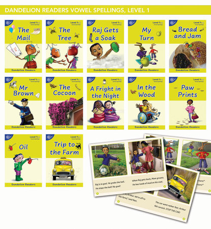 Phonic Books Dandelion Readers Vowel Spellings Level 1 The Mail Boxed Set by Phonic Books
