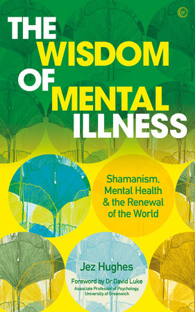 The Wisdom of Mental Illness Paperback by Jez Hughes