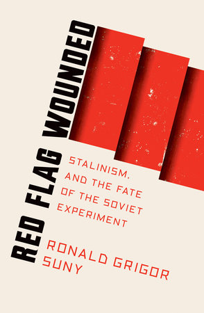 Red Flag Wounded Paperback by Ronald Suny