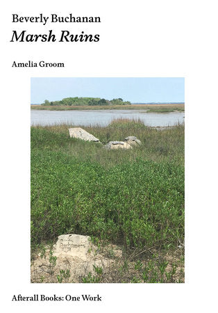 Beverly Buchanan Paperback by Amelia Groom