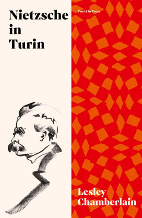 Nietzsche in Turin Paperback by Lesley Chamberlain