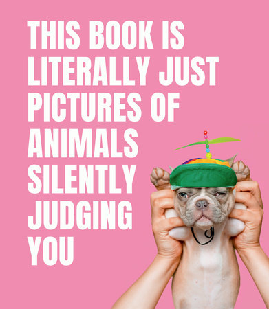 This Book is Literally Just Pictures of Animals Silently Judging You Hardcover by Smith Street Books