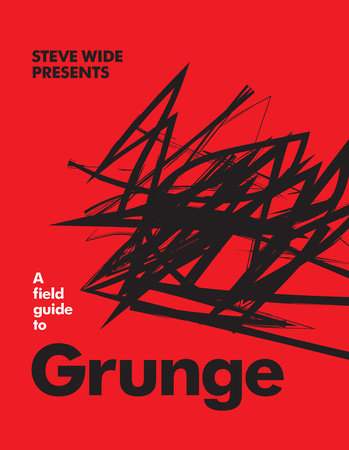 A Field Guide to Grunge Hardcover by Steve Wide